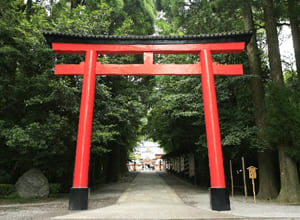 初詣（神社）の正式な「お参り」や「願い事」の仕方